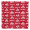 Ohio State University Buckeyes Rotary Queen Bed In a Bag Set