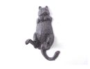 Cast Iron Happy Fat Cat Wall Hook 6""