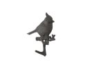 Cast Iron Baltimore Oriole Sitting on a Tree Branch Decorative Metal Wall Hook 6.5""