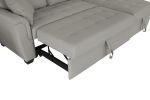 Storage Sofa Bed Tufeted Cushion with 2 Pillows